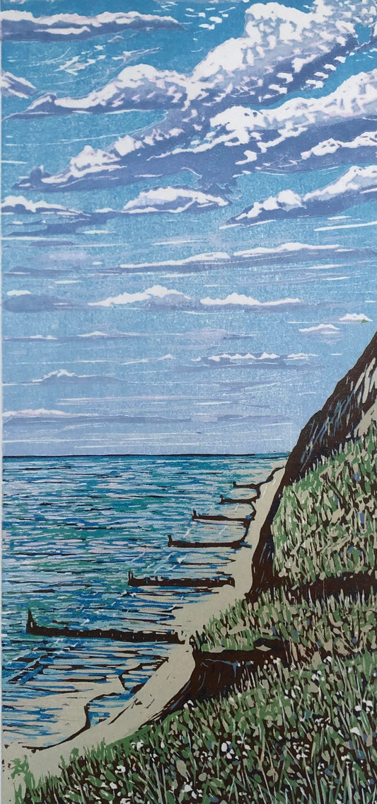 View From Beeston Bump