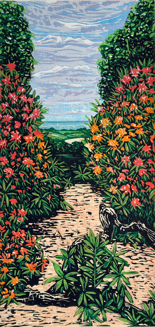 Sheringham Park - View to the Sea