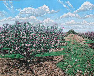 Blossom in the Apple Orchard