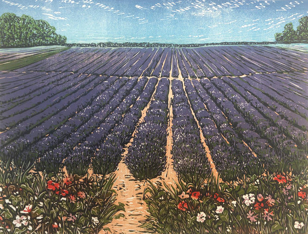 Lavender Fields