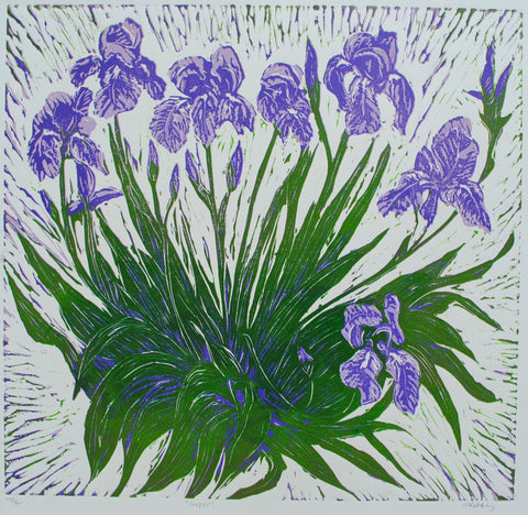 Irises