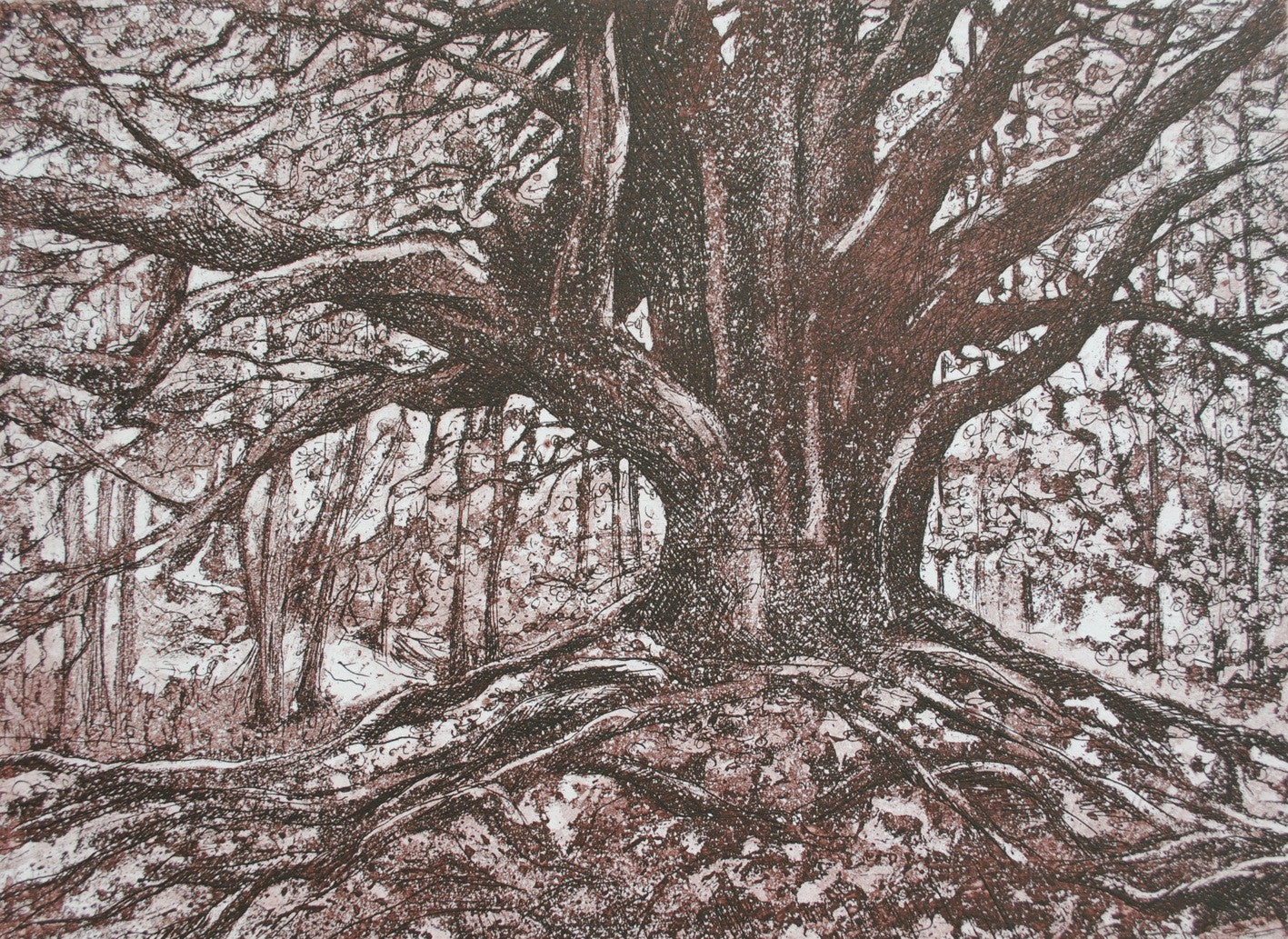 Old Oak