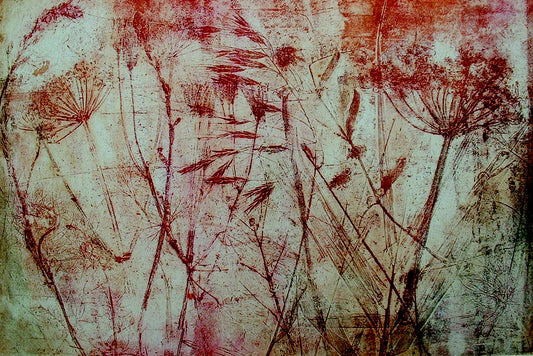"Wild Border"