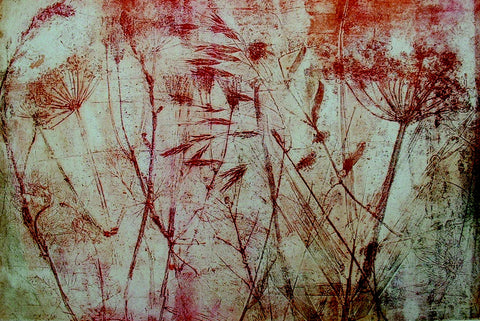 "Wild Border"